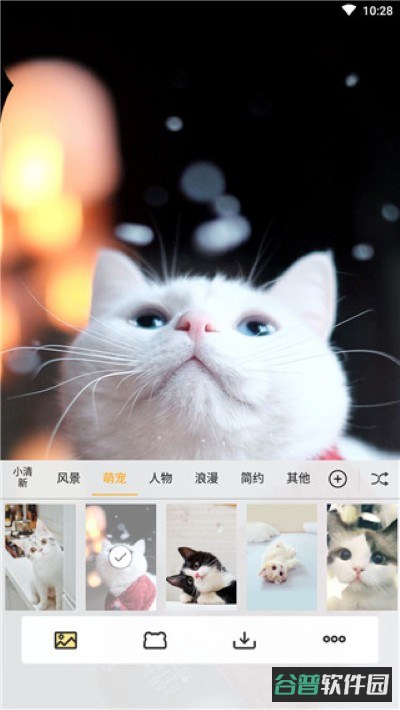 配图