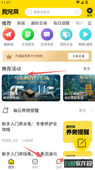配图