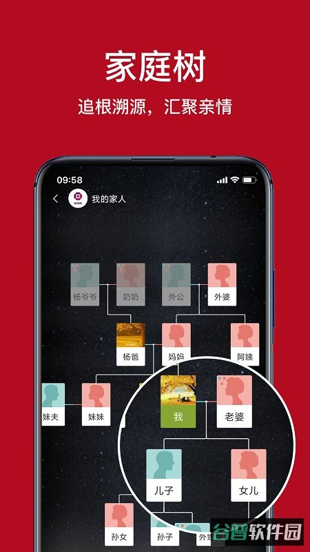 族谱截图2