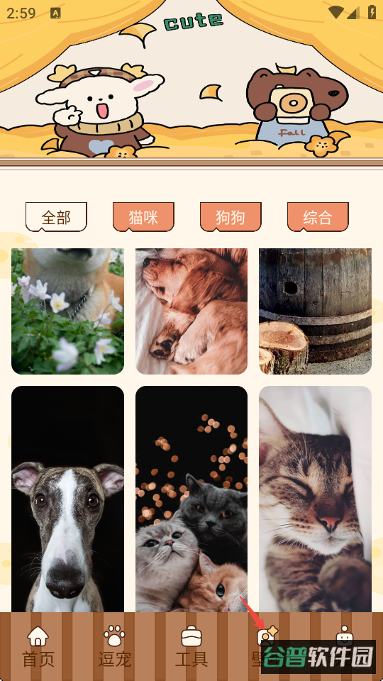 配图
