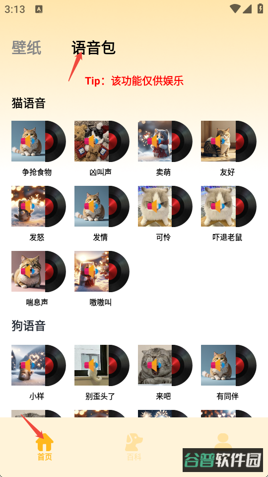 配图