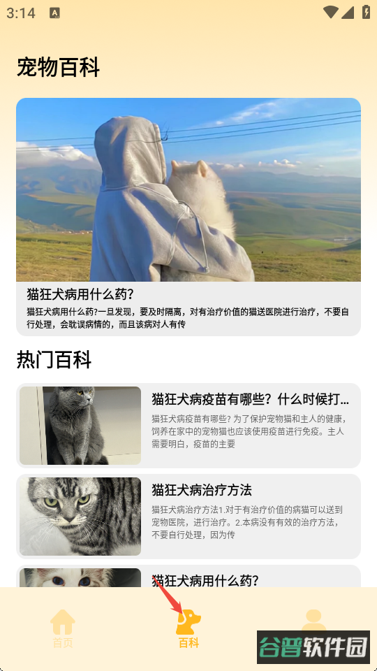 配图