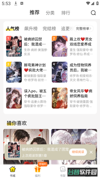 配图
