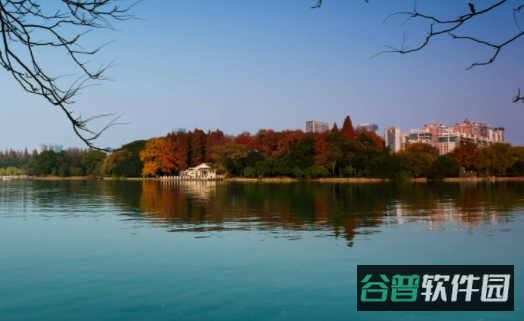 配图