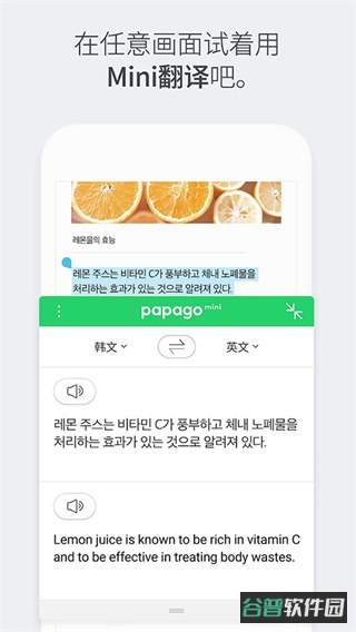 Papago截图2