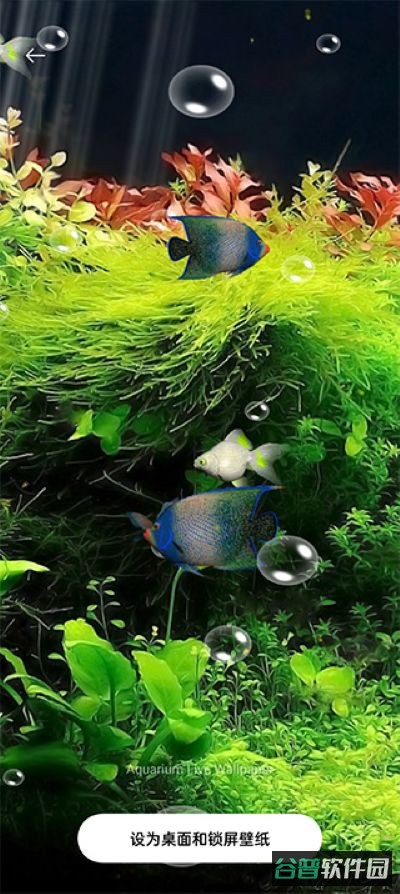 水族馆动态壁纸截图4