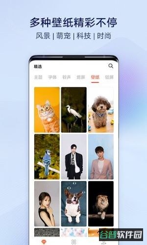 i主题vivo桌面截图2