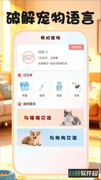 配图