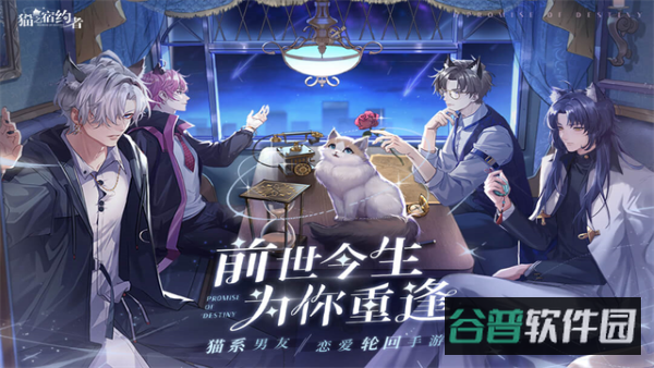 猫之宿约者截图3