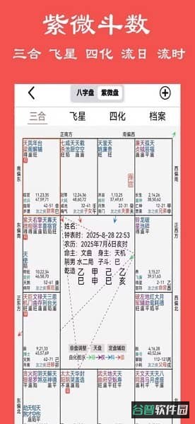 大师八字排盘软件