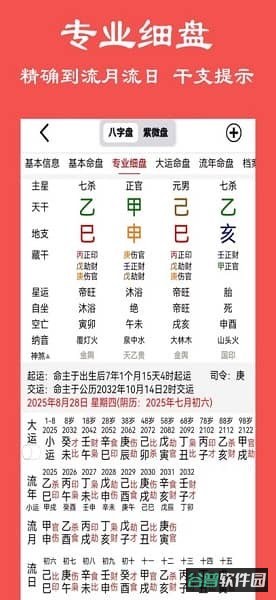 大师八字排盘软件截图3