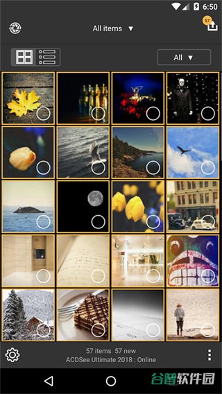 acdsee截图4