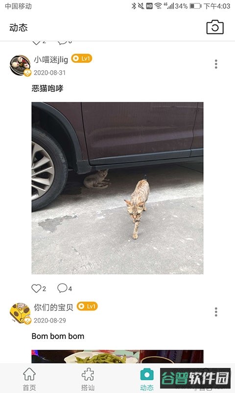 配图