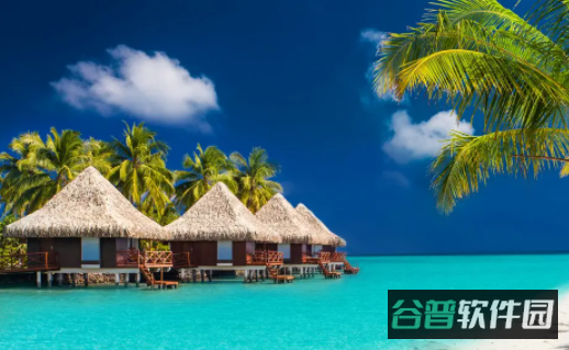 配图