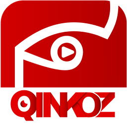 qinkoz软件v2.0.2