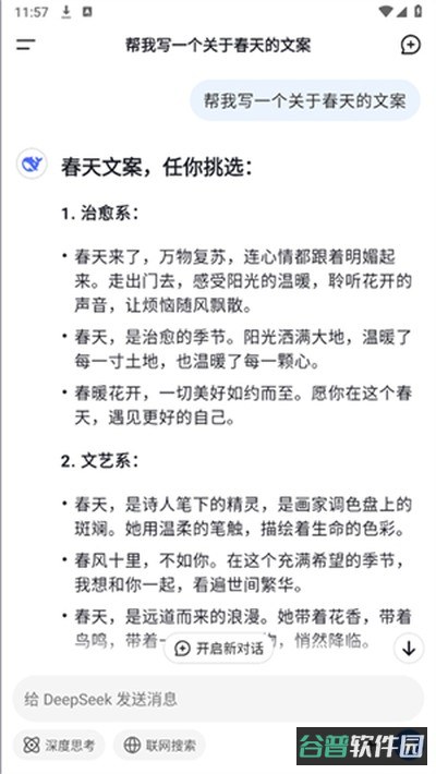 deepseek截图2