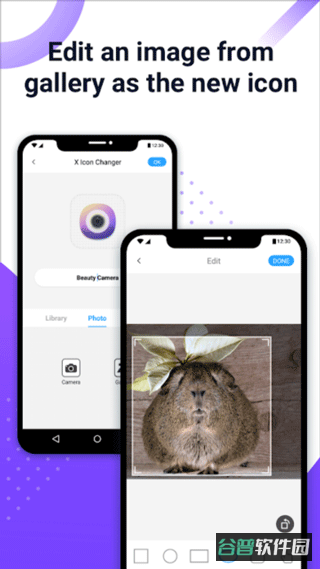 XIconChanger截图3