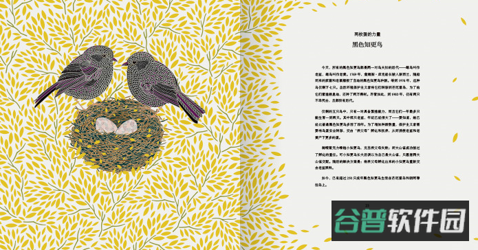 大师一百截图2