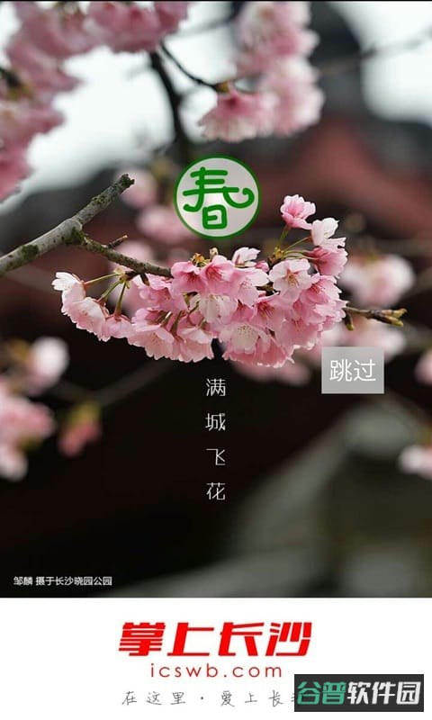 长沙晚报掌上长沙手机截图4