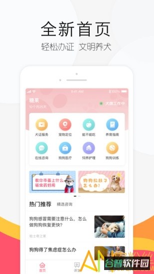68宠物