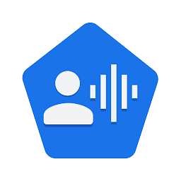 Voice Access app下载安装 v6.1.530397167官方版