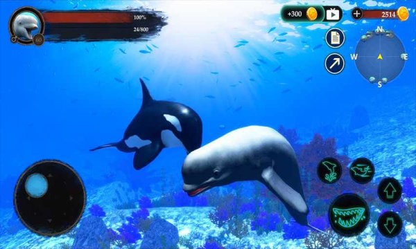 白鲸模拟器游戏(the beluga whale)截图2