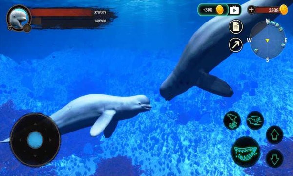 白鲸模拟器游戏(the beluga whale)截图3