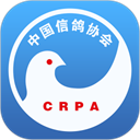 中国信鸽协会appv2.10.0