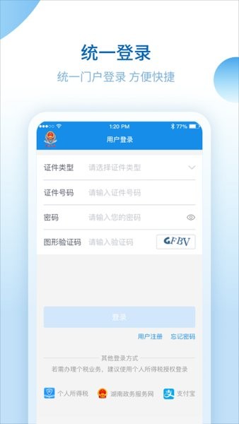 湖南税务服务平台手机版截图1